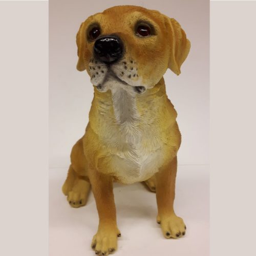 Beeldje blonde labrador levensecht