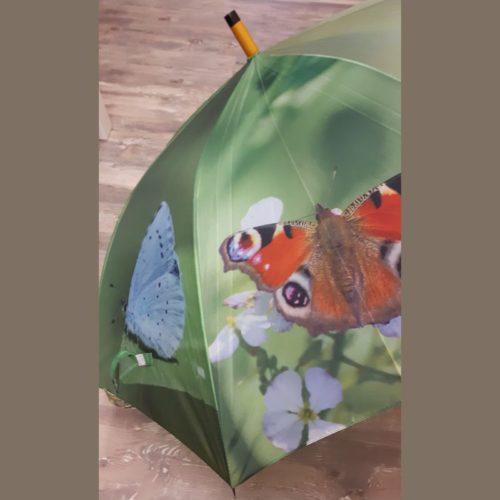 Paraplu met vlinders multicolor van Esschert design