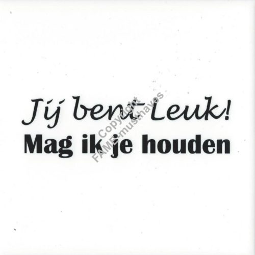 Spreuk tegel Jij bent leuk mag ik je houden