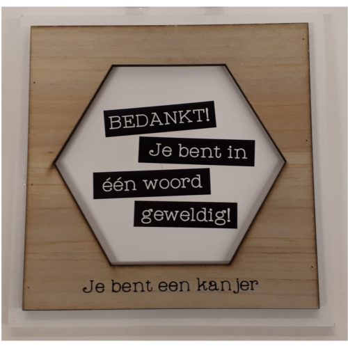 Fotolijstje met tekst Bedankt je bent in 1 woord geweldig