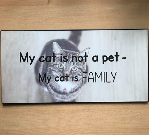 Groot tekstbord My cat is not a pet-My cat is FAMILY