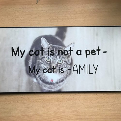 Groot tekstbord My cat is not a pet-My cat is FAMILY
