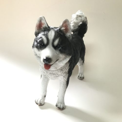 Beeldje hond Siberische Husky 25cm breed van Farmwood