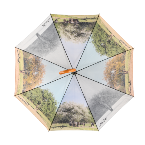 Paraplu 4-seizoenen winter spring summer en fall