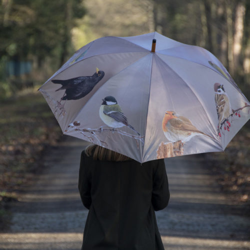 Paraplu vogels winter