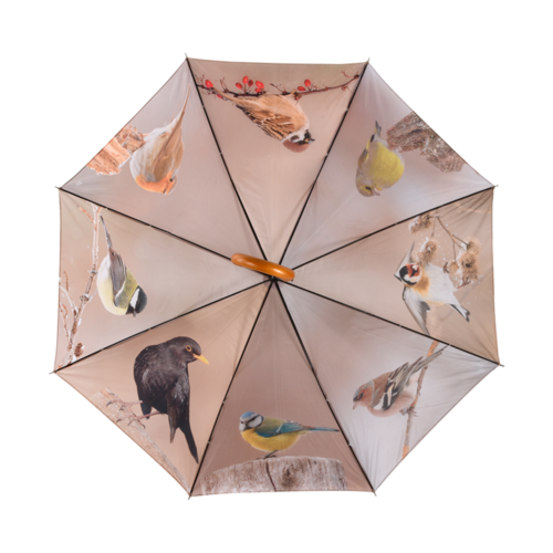 Paraplu vogels winter