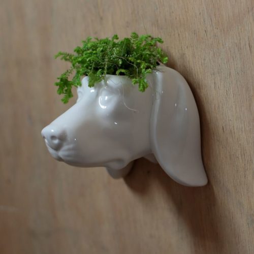 Plantenbak hond wanddecoratie wit keramiek