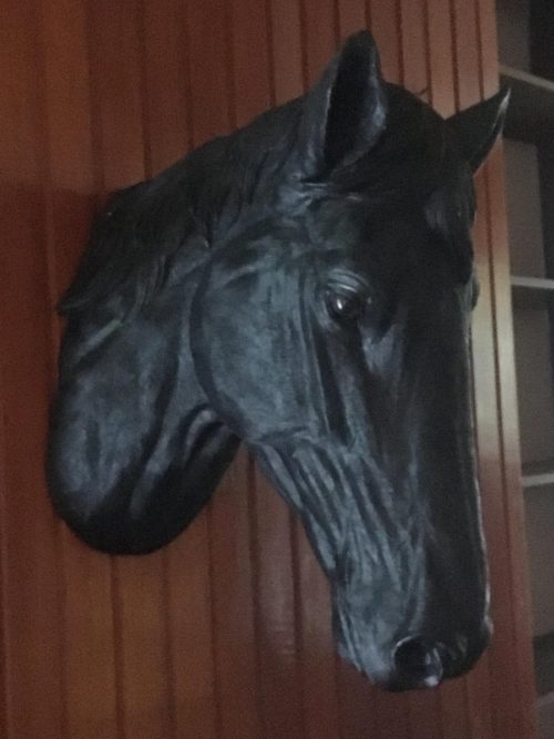 Paardenhoofd zwart, groot, voor wand bevestiging