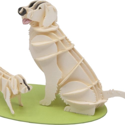3D puzzel bouwpakket hond golden Retriever