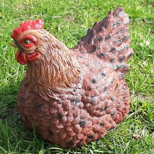 Beeld broedende bruine kip voor binnen of buiten 18cm