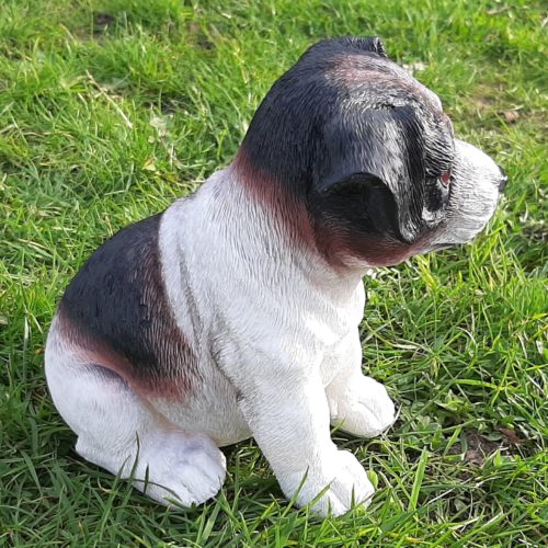 Beeldje Jack Russel puppy zwart-wit 17cm