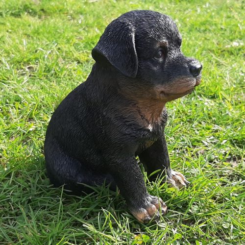 Beeldje Rottweiler pup zwart 15 cm hoog