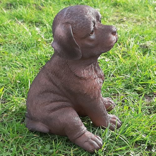 Beeldje bruine Labrador Retriever pup zittend