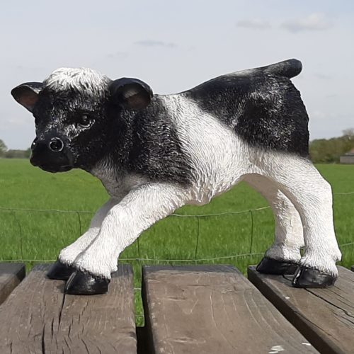 Beeldje kalfje-koe staand zwart wit 30cm lang