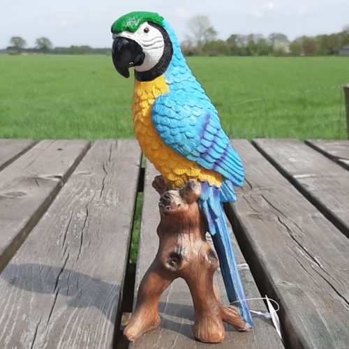 Beeldje papegaai geel-blauw 20cm hoog