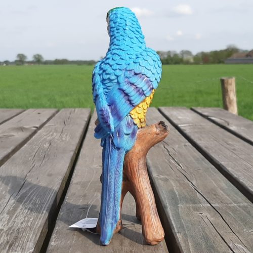 Beeldje papegaai geel-blauw 20cm hoog