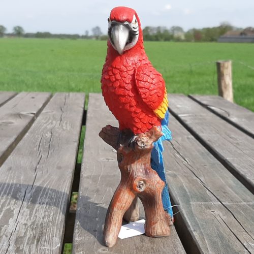 Beeldje papegaai rood-geel-blauw 20cm hoog