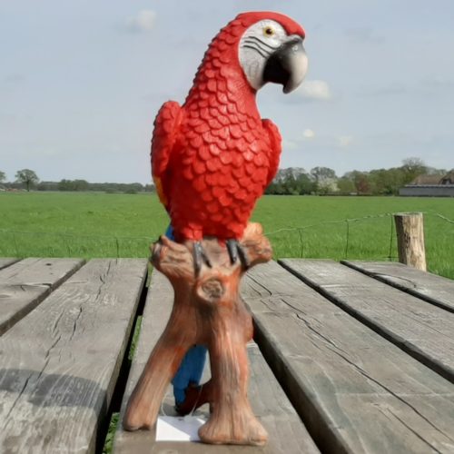 eeldje papegaai rood-geel-blauw 20cm hoog
