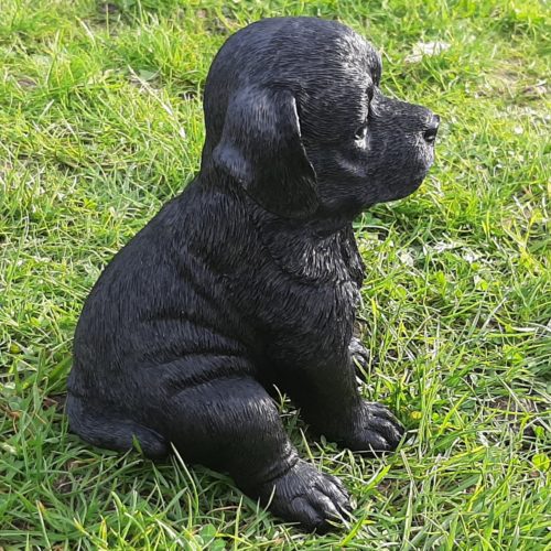 Beeldje zwarte Labrador Retriever pup zittend