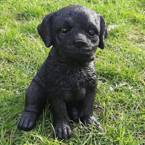 Beeldje zwarte Labrador Retriever pup zittend